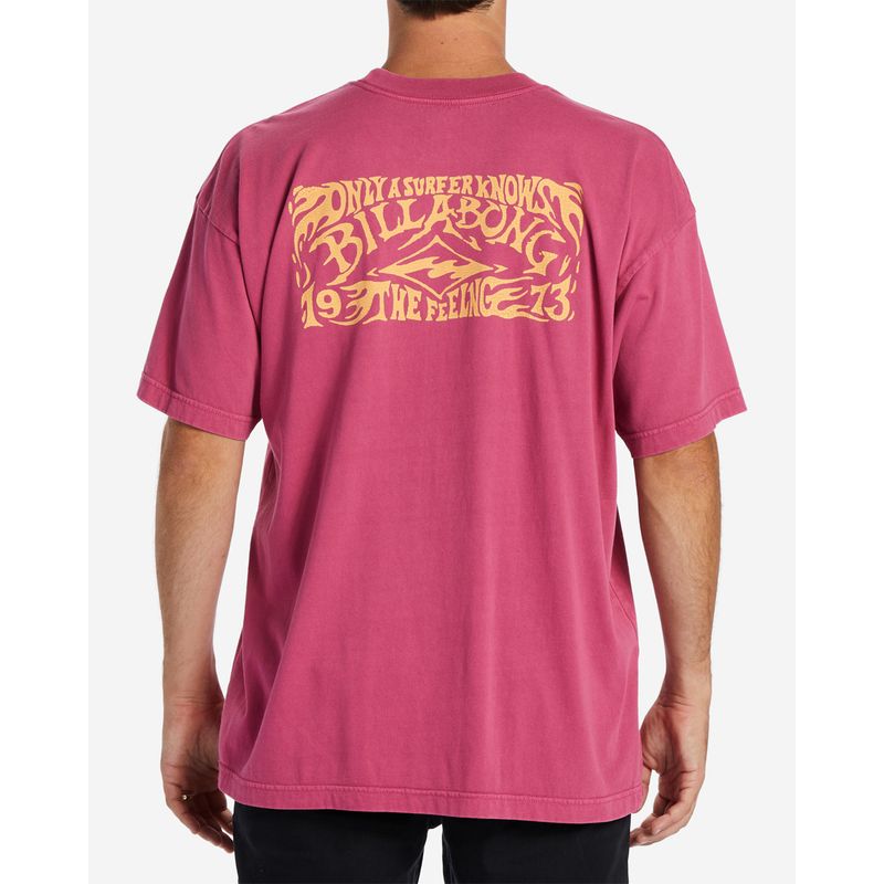 POLO-BILLABONG-ARCH-WAVE-PARA-HOMBRE
