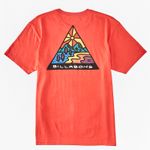 POLO-BILLABONG-SHINE-PARA-HOMBRE