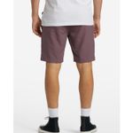 SHORT-BILLABONG-SURFTREK-JOURNEY-PARA-HOMBRE