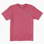 POLO-BILLABONG-CRAYON-WAVE-PARA-HOMBRE