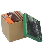 Media-Para-Hombre-Bambu-Pack-Gift-Aus-Multicolor-Rockford