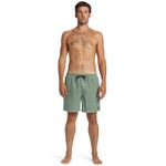 https---s3.amazonaws.com-ecom-imagenes.forus-digital.xyz.peru-BILLABONG-ABYJV00134_UF3_1.jpg