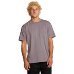 Polo-Para-Hombre-Essential-Premium-WW-Morado-Billabong