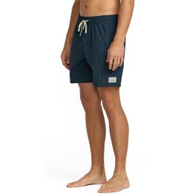 Ropa de Baño Para Hombre Day Trip Garage LB Azul Billabong